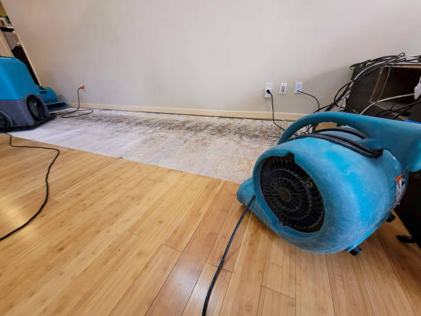 Professional Structural Drying technician working in Society Hill, SC
